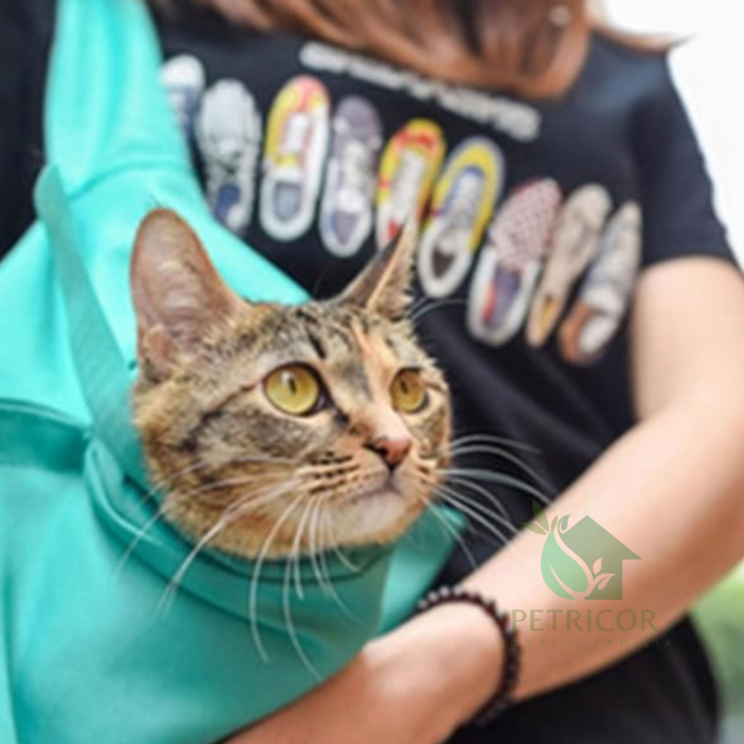CATPORTER® - Bolsa de Transporte Portable Para Gatos