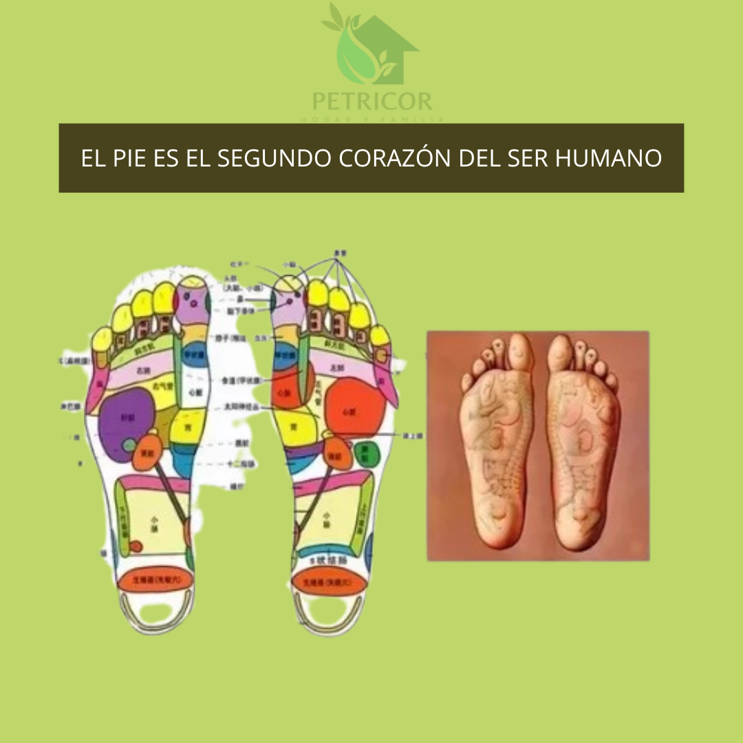 FootRelief Pro™ - Bienestar para tus pies